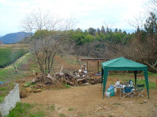 20100410.jpg