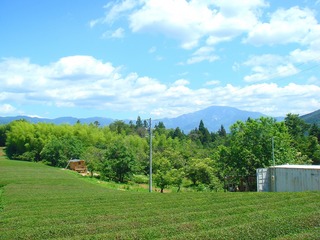 20110629.jpg