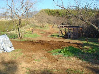 enkei20110419.jpg