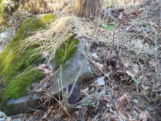 kosiabura2011a.jpg